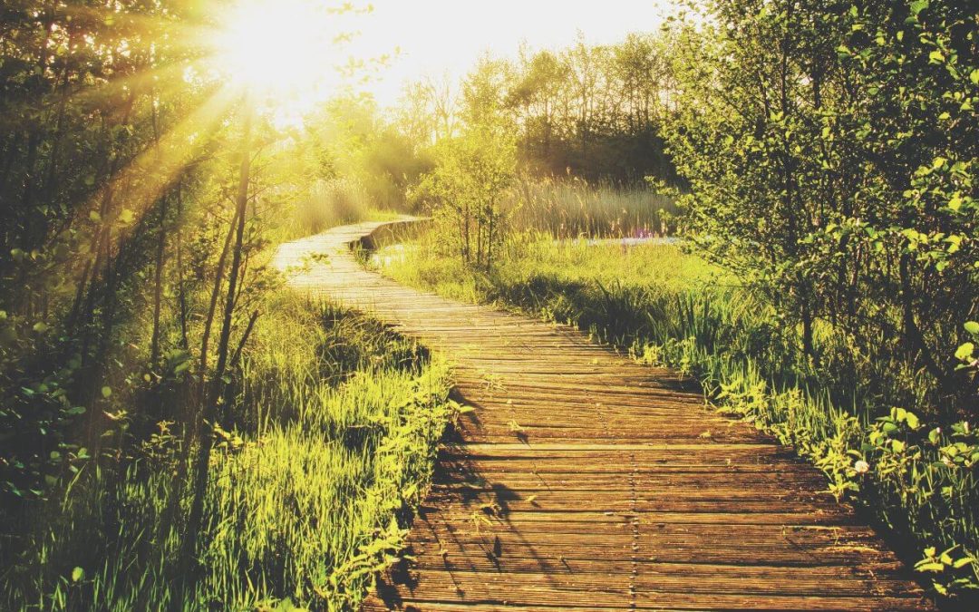 Staying optimistic in uncertain times through building new bridges and common values in a world for everybody