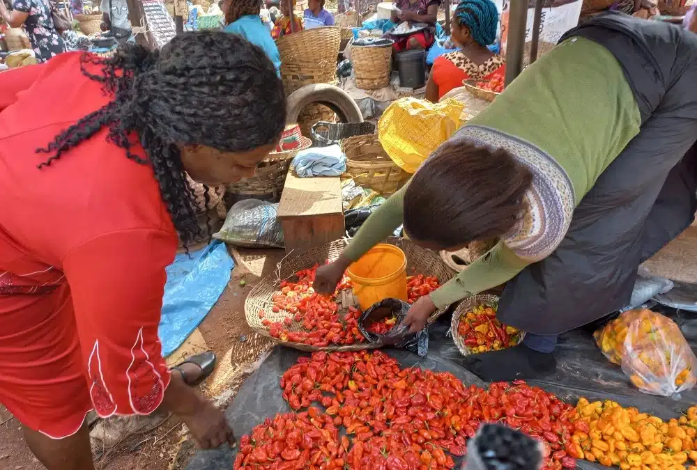 Empowering Persecuted Christians: CSI and CIDJAP’s Impact in Enugu, November, 2023