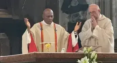 Msgr. Obiora Ike Celebrates Mass and Delivers Sermon at St. Stephen’s Cathedral, Vienna